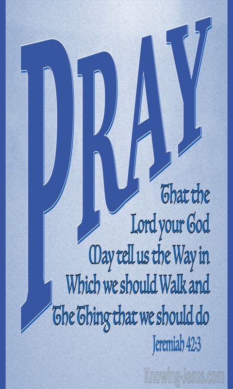 Jeremiah 42:3 Pray That The Lord May Show Us The Way (blue)